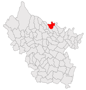 Poziția în cadrul județului Buzău