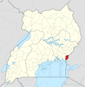 Busia (district)