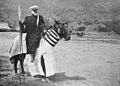 Cavalier arabe du Dékakiré sur un cheval caparaçonné, 1918