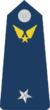 Chuẩn Tướng-Airforce 1.png