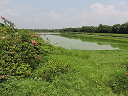 Dhanas Lake, Chandigarh.