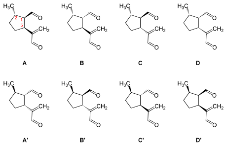 Stereoisomers of dolichodial