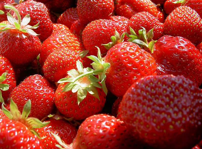 File:Erdbeeren-WJP-1.jpg