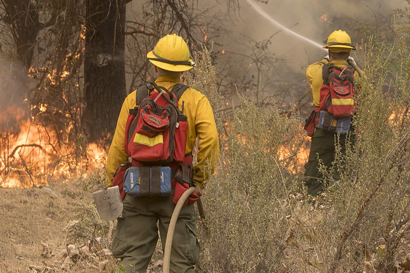 Archivo:Firefighters conducting burnout operation (43427124295).jpg