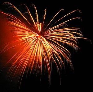 English: Fireworks at the celebration of the U...
