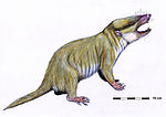 Miniatura para Gobiconodontidae