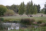 Högaborg (naturreservat)