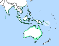 Áreas de distribución desta especie (en verde) e de Haliaeetus sanfordi (círculo azul claro)