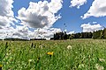 Typische Bergwiesen auf dem Montschenloch