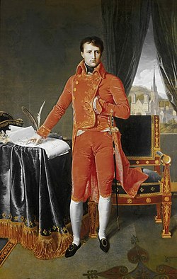Napoleon jako první konzul, obraz od Jeana Augusta Dominique Ingrese