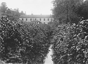 Kvarnrännan med hospitalsbyggnaden i fonden, 1915.