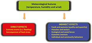 Multi-faceted impacts of climate change on livestock. Lacetera 2018 climate livestock diagram.jpeg