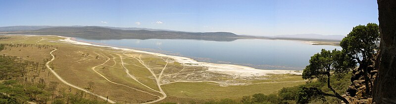 Panorama jezera Nakuru