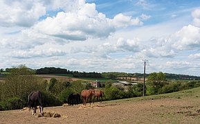 Haras de Canny-sur-Thérain