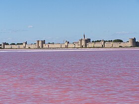 Image illustrative de l’article Marais de Peccais