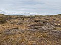 Nationaal Park Duinen van Texel, la zona de dunas hacia Strandpaal 12