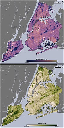 Thermal (top) and vegetation (bottom) locations around New York City via infrared satellite imagery. A comparison of the images shows that where vegetation is dense, temperatures are lower. Newyork heat island.jpg