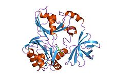 PDB 1wor EBI.jpg