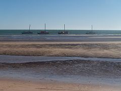 le Parc national du banc d'Arguin