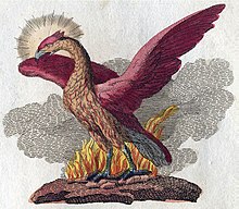 A depiction of a phoenix by Friedrich Justin Bertuch (1806) Phoenix-Fabelwesen.jpg