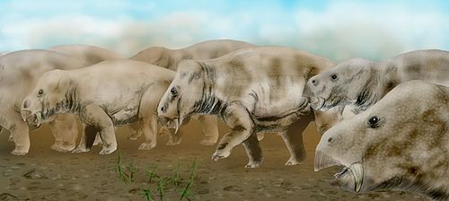Artist's restoration of Placerias hesternus, a dicynodont from the Late Triassic of North America.