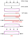 Pisipilt versioonist seisuga 7. juuli 2007, kell 23:25