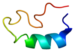 Протеин POLA1 PDB 1k0p.png