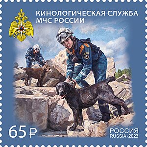 Russian Post stamp about EMERCOM RUSMARKA-3176.jpg