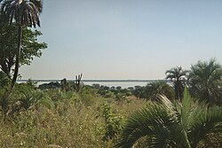 View of the Paraná River from Lavalle