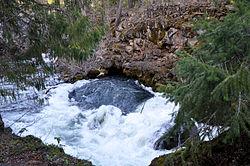 Rogue River vytéká z lávového tunelu Natural Bridge