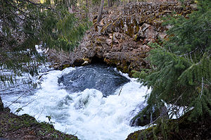 Water exiting a hole in a riverbank forms a smooth rounded mound surrounded by churning rapids. Evergreen trees hang over the water.