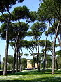 Garten der Villa Borghese