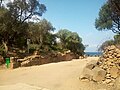 Ruines Romaines Tipaza.