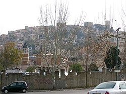 Salemi01.jpg