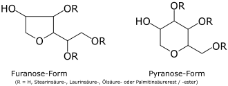 Fünfring- und Sechsringformen der Sorbitanfettsäureester