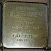 Stolperstein in Castrop-Rauxel Biesenkamp 32 für Lilly Feldheim