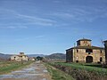 Leopoldine lungo lo stradone di Montecchio