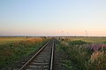 Bahnlinie bei der Windfarm