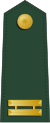 Taiwan-army-OF-1b.svg