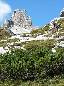 Skály u vrcholu Dreischusterspitze při pohledu z údolí Altensteintal