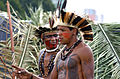 (参考)南米のパタクソ族（英語版）の羽根冠