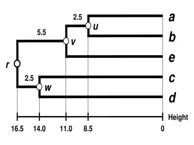 Дендрограмма UPGMA 5S data.svg