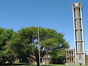 Rathaus Vryburg