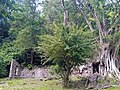 Vue générale de la poudrière du Houëlmont.