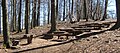 Waldschule im Wildpark Kaiserslautern