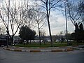 Hasköy Caddesinden bir görünüm, arka tarafta Hasköy Parkı ve Haliç görülmektedir.(Mart 2013)