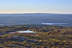 Fotografi ut over et stort vilmarksområde i Paanajärvi nasjonalpark.