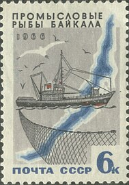 1966 год: Промысловые рыбы Байкала