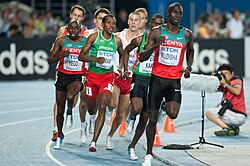 Miesten 800 metrin loppukilpailu 2011 MM-kilpailuissa.