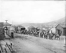 A burro-drawn wagon hauling lumber and supplies into Goldfield, Nevada, ca.1904. In 1903 only 36 people lived in the new town. By 1908 Goldfield was Nevada's largest city, with over 25,000 inhabitants. A burro-drawn wagon hauling lumber and supplies into Goldfield, Nevada, ca.1904 (CHS-5424).jpg